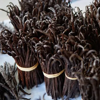 Tambatra : vanilla